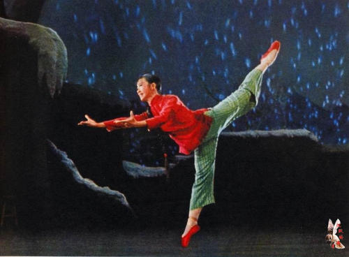 做个苏丹护照